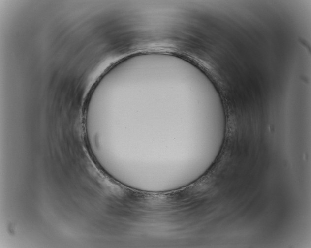 X0000100381470200806271323