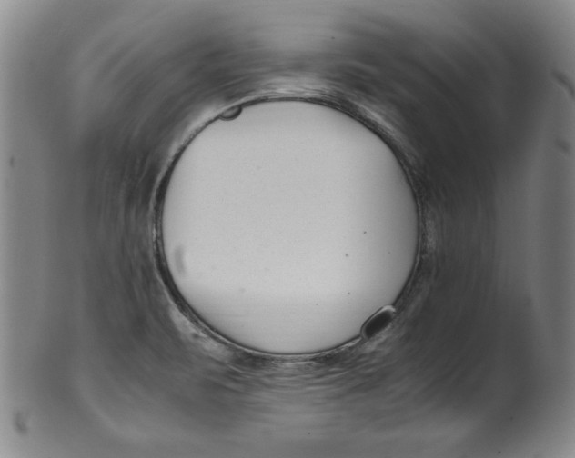 X0000100381471200806271323