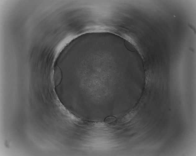 X0000100381472200806271323