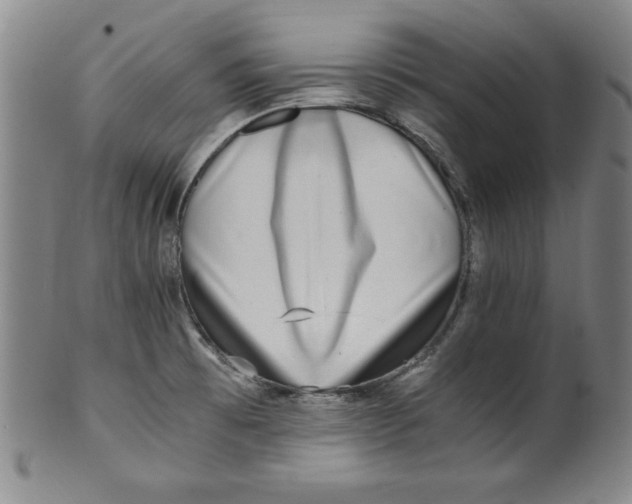 X0000100381473200806271323
