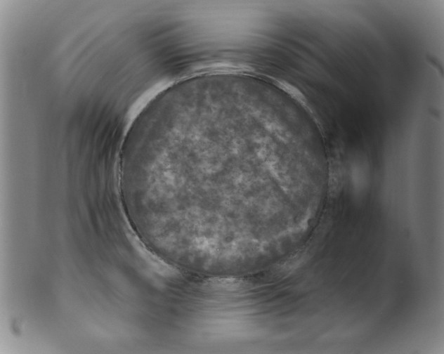 X0000100381474200806271323