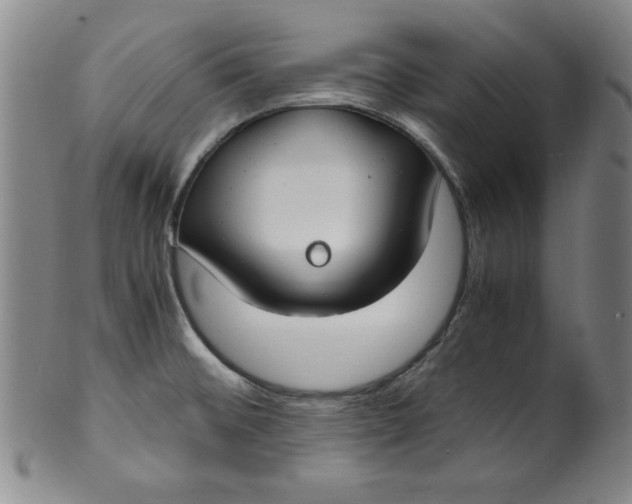X0000100381476200806271323