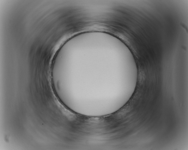 X0000100381478200806271323