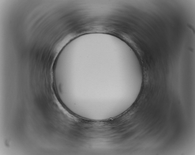 X0000100381479200806271323