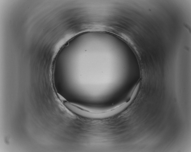 X0000100381480200806271323