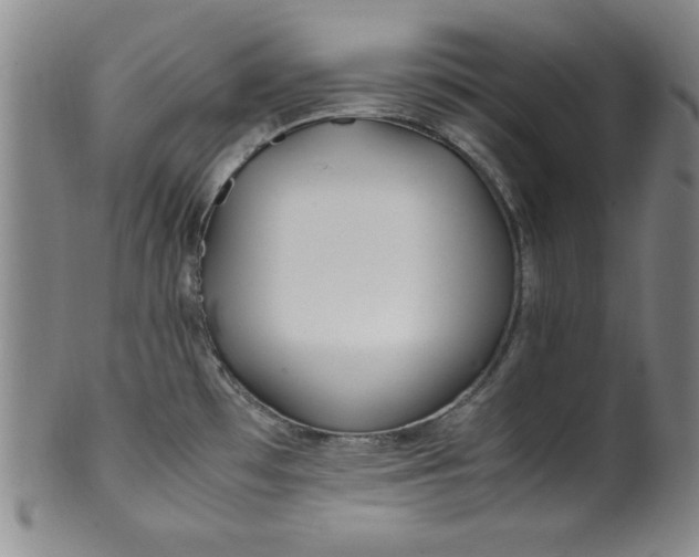 X0000100381481200806271323