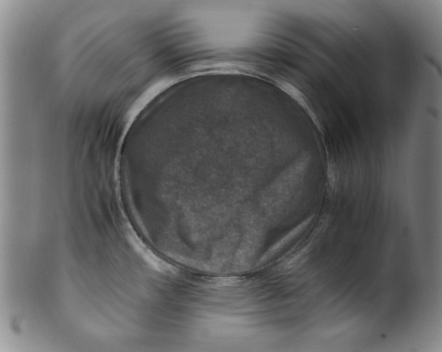 X0000100381482200806271323