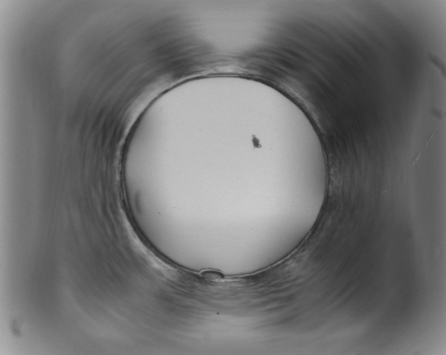 X0000100381483200806271323