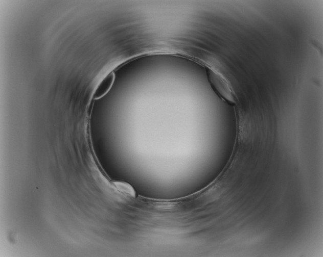 X0000100381484200806271323