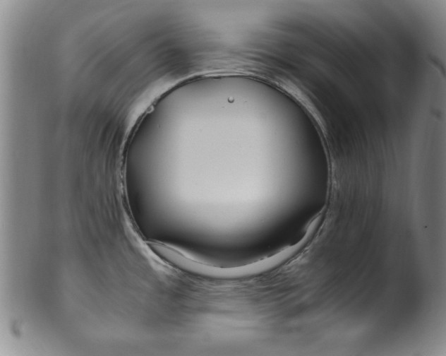 X0000100381485200806271323