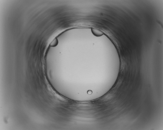 X0000100381486200806271323