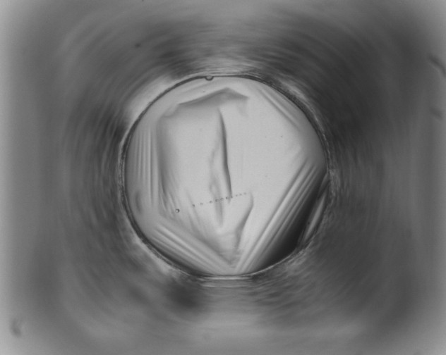 X0000100381487200806271323