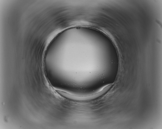 X0000100381488200806271323