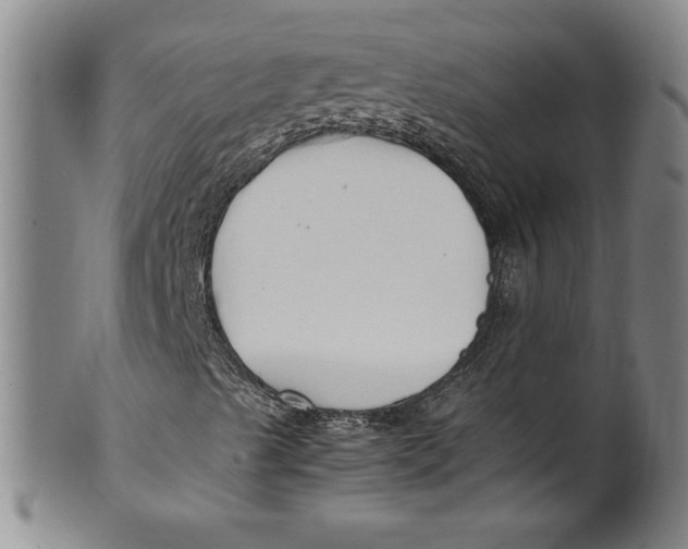 X0000100381489200806271322