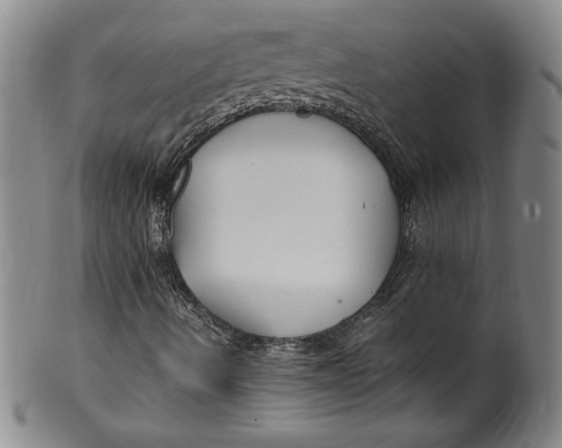X0000100381490200806271322