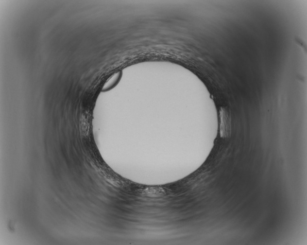 X0000100381491200806271322