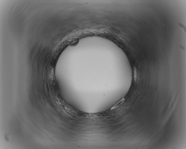 X0000100381492200806271322
