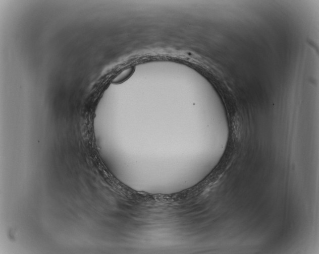 X0000100381494200806271322