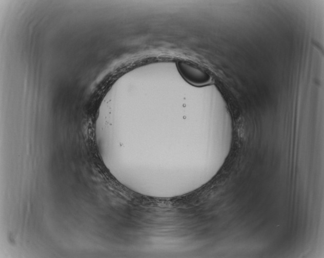 X0000100381495200806271322