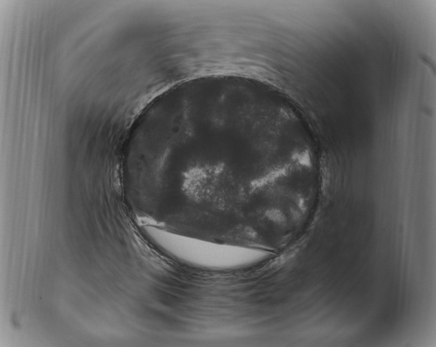 X0000100381497200806271322
