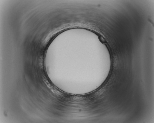 X0000100381499200806271322