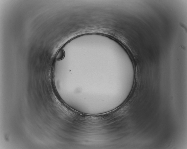 X0000100381500200806271322