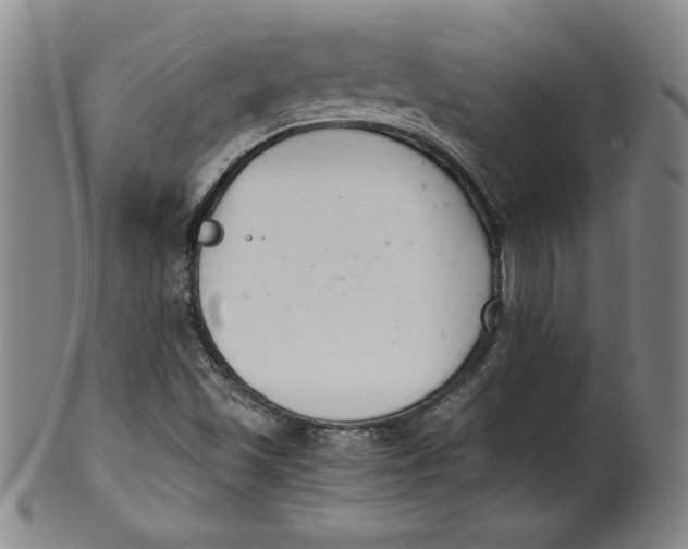 X0000100381501200806271322