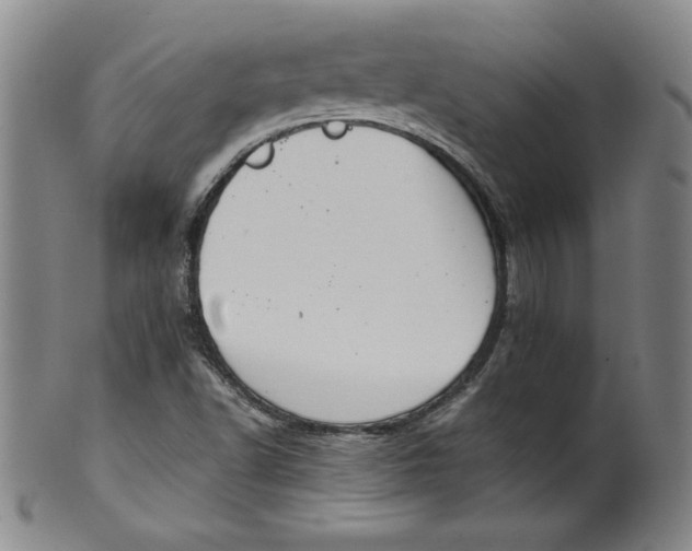 X0000100381502200806271322