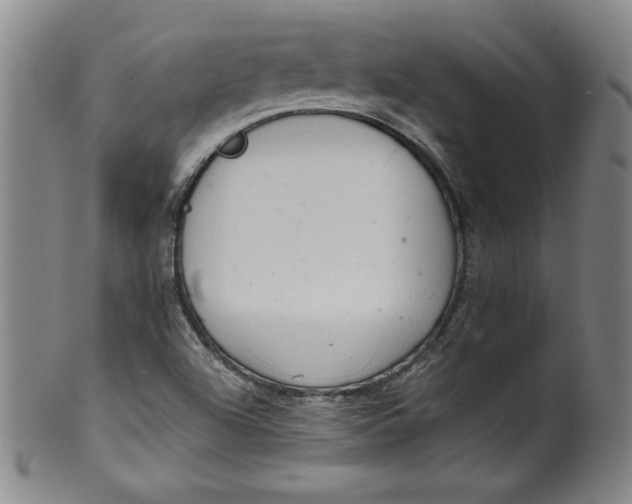 X0000100381504200806271322