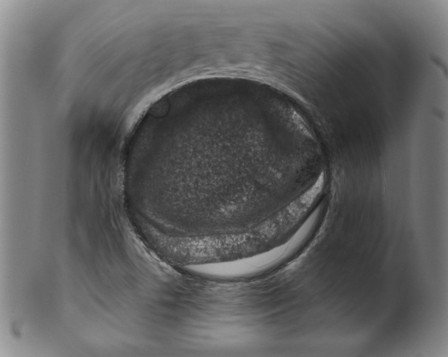 X0000100381506200806271322