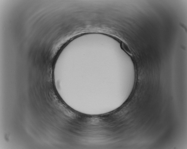 X0000100381507200806271322