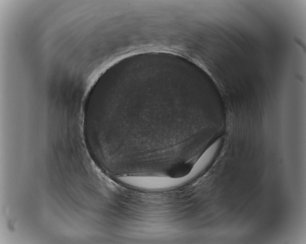 X0000100381508200806271322