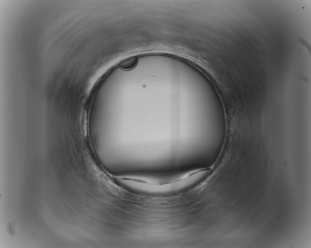 X0000100381510200806271322