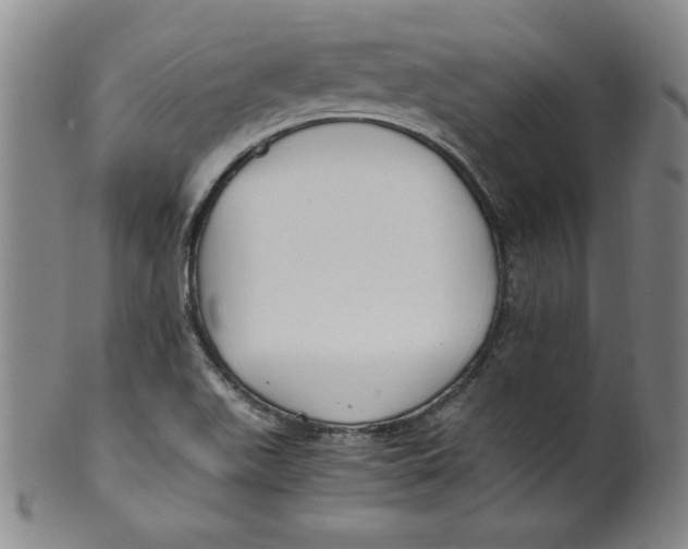 X0000100381511200806271322