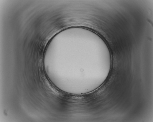 X0000100381513200806271322