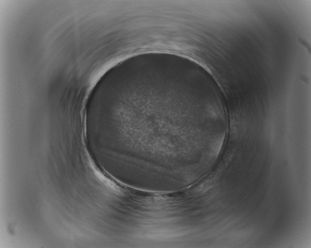 X0000100381515200806271322