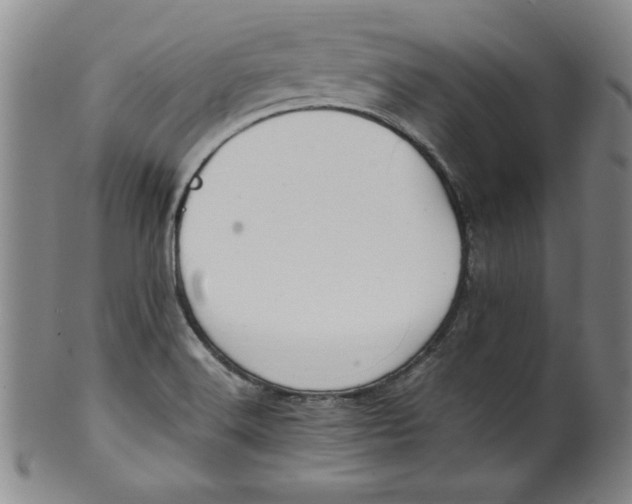 X0000100381516200806271322