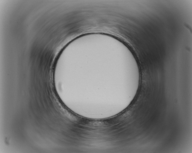 X0000100381517200806271322
