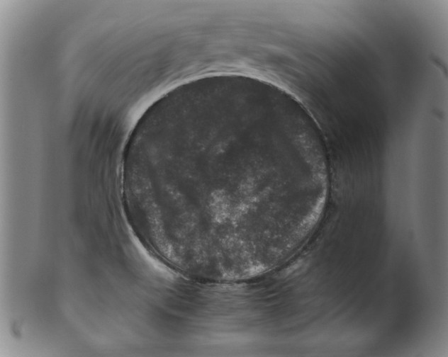 X0000100381519200806271322