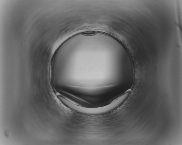 X0000100381520200806271322