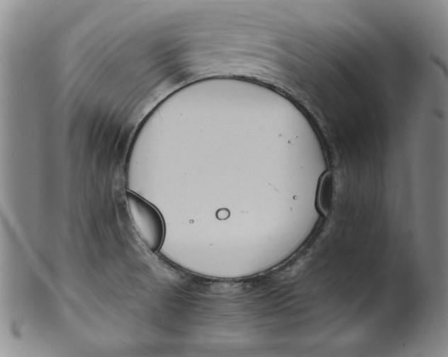 X0000100381521200806271322