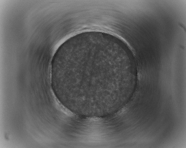 X0000100381522200806271322