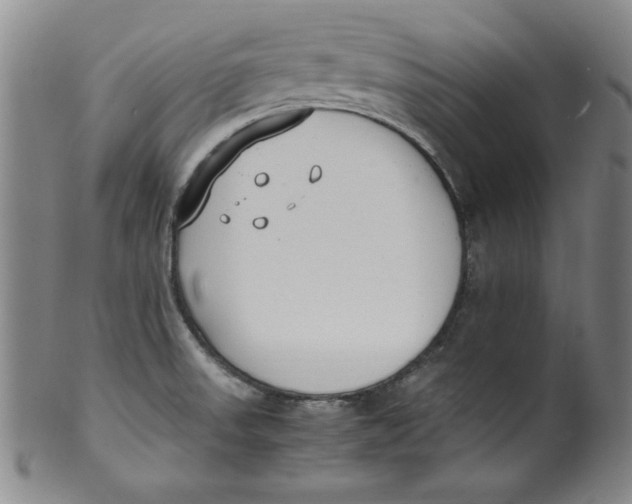 X0000100381523200806271322