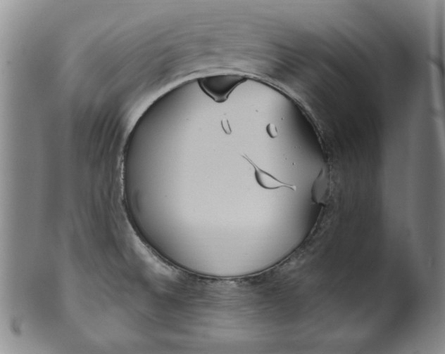 X0000100381524200806271322