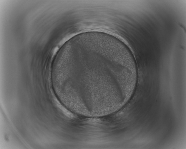 X0000100381525200806271322