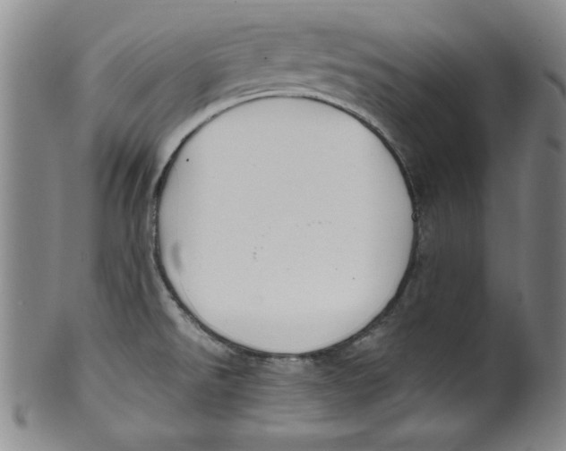 X0000100381526200806271322