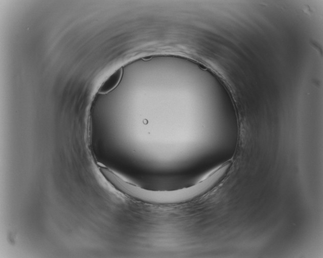 X0000100381528200806271322