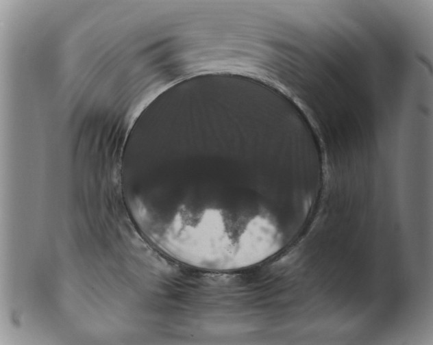 X0000100381529200806271322
