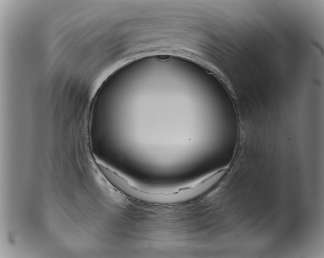 X0000100381530200806271322