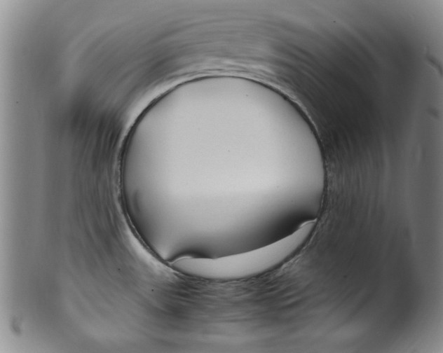 X0000100381531200806271322